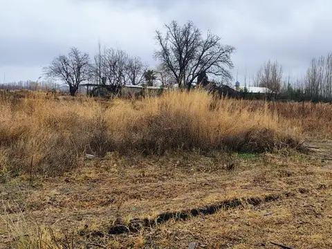 Terreno en Venta en San José de Tupungato, USD 85.000