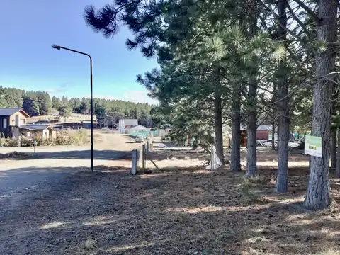 Roberto Killmeate 900