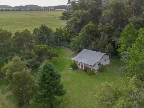 Colonos entre circ y camino viejo