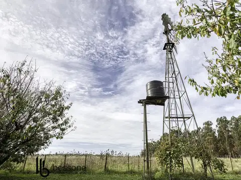 San Francisco al 500