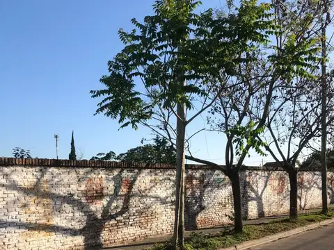 Rio Salado y Tupungato