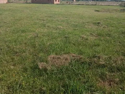 Terreno en Venta de 1000,0 m2