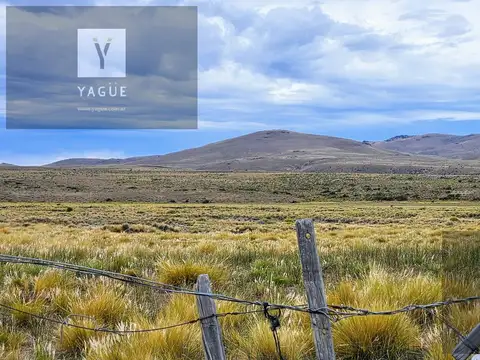 Excelente campo productivo - Gobernador Costa - Chubut