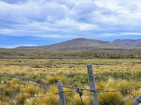 Excelente campo productivo - Gobernador Costa - Chubut