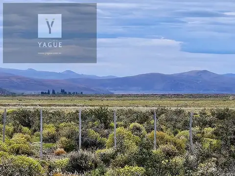 Excelente campo productivo - Gobernador Costa - Chubut