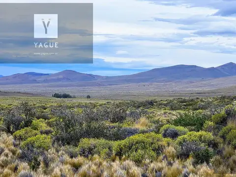 Excelente campo productivo - Gobernador Costa - Chubut