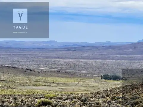 Excelente campo productivo - Gobernador Costa - Chubut