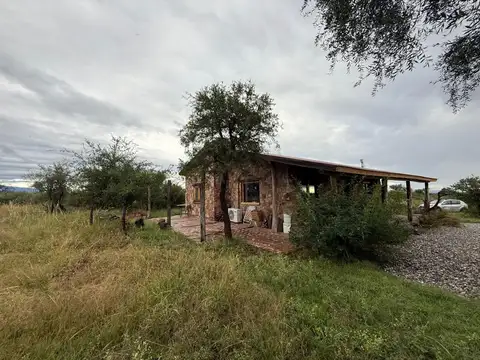 LUYABA FINCA LA SOFIA 100