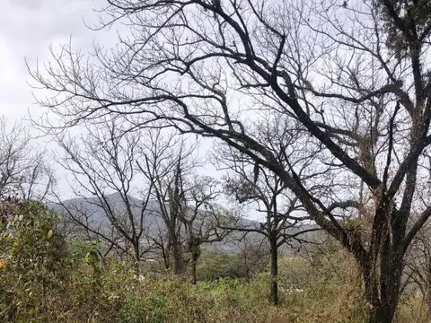 Terreno en Venta de 1191,0 m2