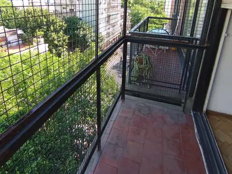Campichuelo 600