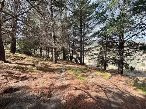 Terreno en Venta de 572,0 m2