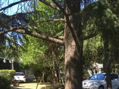 Quinta en Venta al Norte