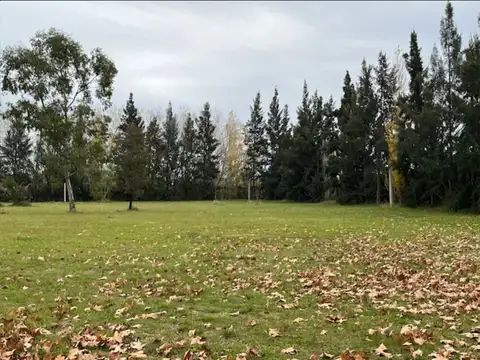 TERRENOS/FRACCIONES/LOTEOS - TERRENOS - CAPILLA DEL SEÑOR