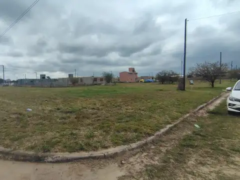 Altos De La Colonia 100