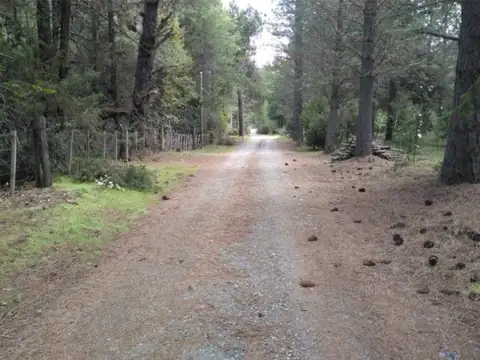 Ruta 40