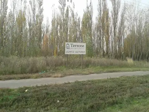 Gran Terreno en San Patricio del Chañar