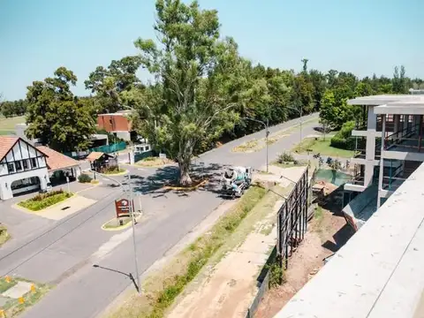 Local en Alquiler A Estrenar
