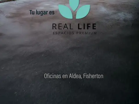 Av Real  9100