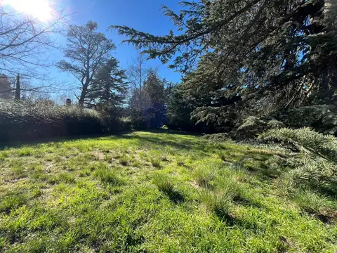 Terreno en Venta 49  mts Frente