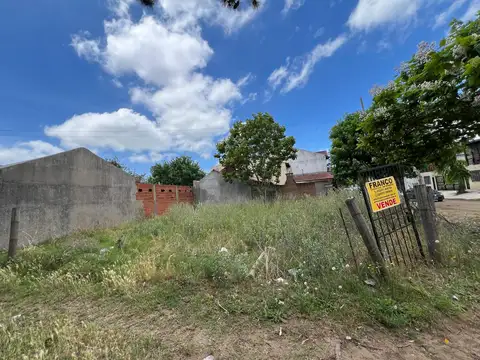 Santa Maria de Oro 900