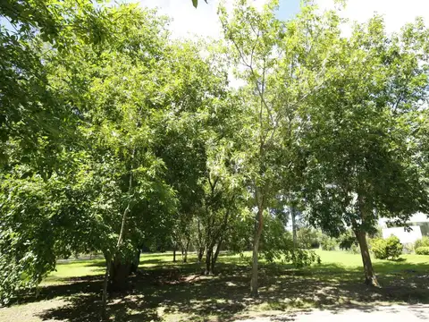 Terreno en Venta en Grand Bell, USD 249.000
