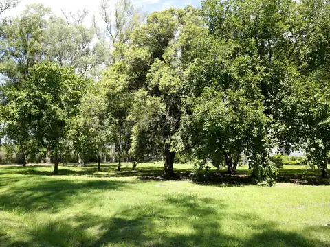 Terreno en Venta de 1120,0 m2