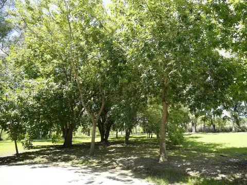 Terreno en Venta de 1120,0 m2