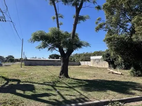 Terreno - Venta - Argentina, Fighiera