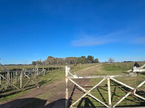 Campo en Venta de 502  ha