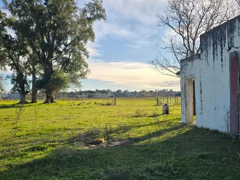 VENTA EXCLUSIVA, CAMPO AGRICOLA-GRANADERO, CASCO DE ESTANCIA