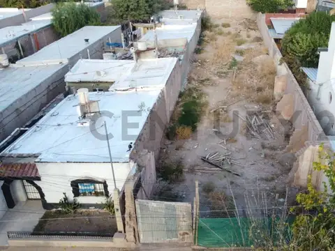 Felix Suarez 1000, Piso 0