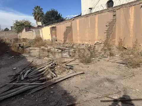 Felix Suarez 1000, Piso 0