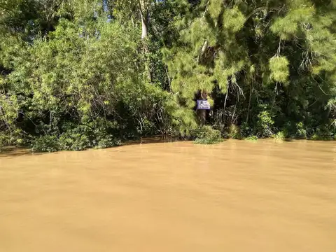 Rio / Arroyo Paraná Miní Parcela 1 A 100