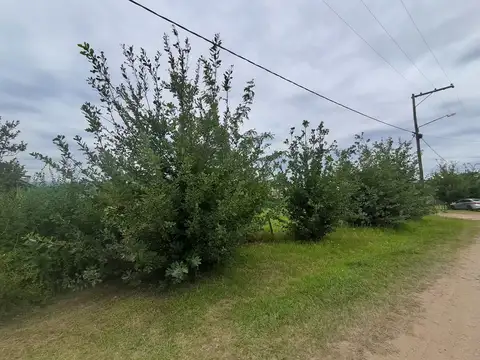 Hermoso terreno de 1.100m2. Los Reartes.