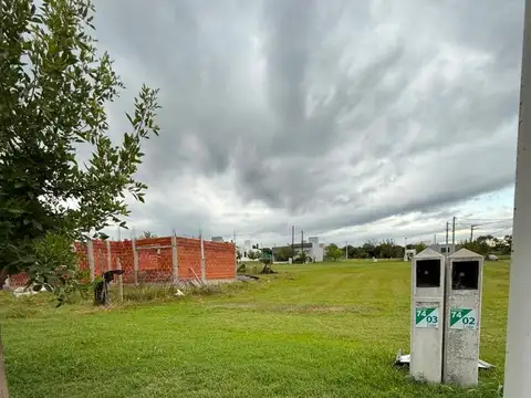 Calle 6