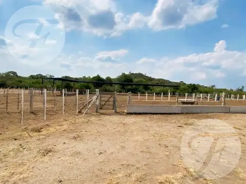 Venta en San Luis (Gral Roca) I Unidad económica con gran infraestructura I 99 hectáreas