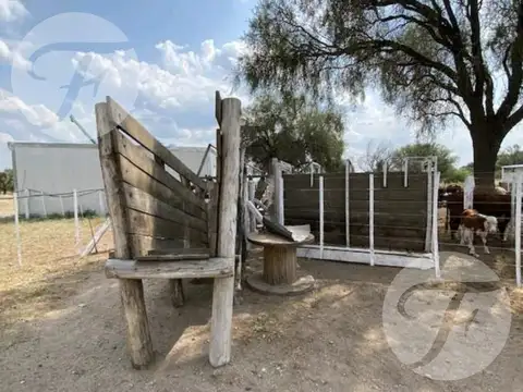Venta en San Luis (Gral Roca) I Unidad económica con gran infraestructura I 99 hectáreas