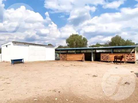 Venta en San Luis (Gral Roca) I Unidad económica con gran infraestructura I 99 hectáreas