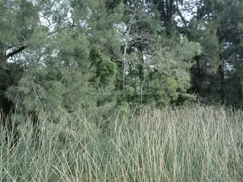 Terreno en Venta en Capitan, USD 39.000