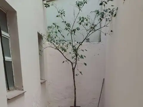 PH Sin Expensas 3amb. Patio PB- 70m2- Rio Janeiro 987- Whatsapp 