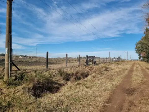 Lote: El Delfín E/ El Tiburón y La Ballena - Esmeralda - B594