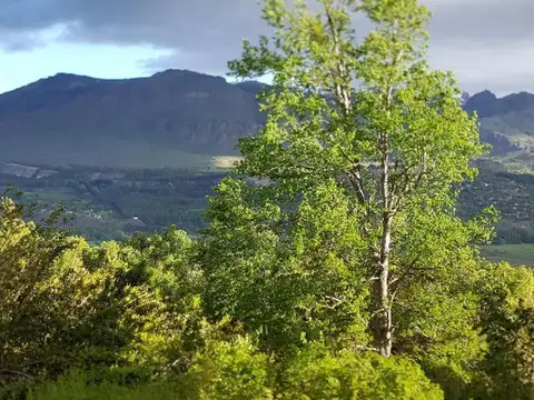 Terreno en Venta de 3637,0 m2