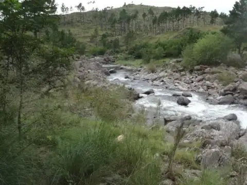 Terreno en Venta 40  mts Fondo