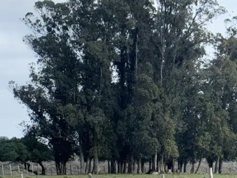 Camino Sainz Martinez