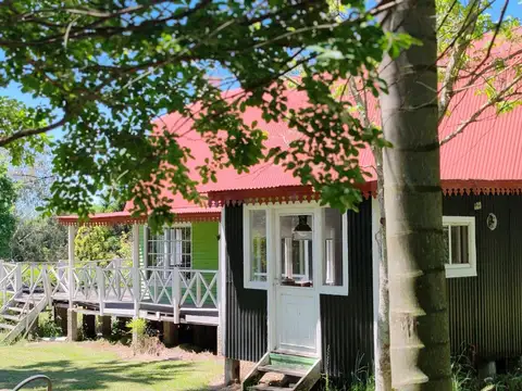 VENTA HERMOSA CHACRA MAS GRAN LOCAL 4 HAS EN YOUNG