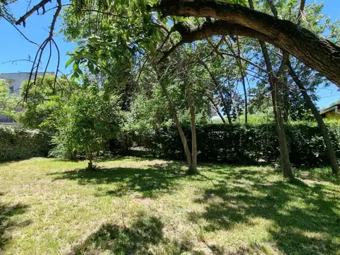 Terreno en Venta 10  mts Frente