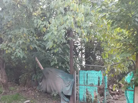 Federico Garcia Lorca