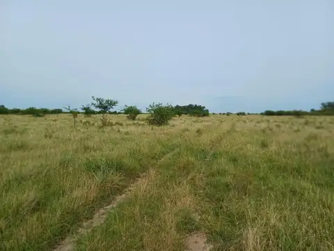 Campo en Ubajay