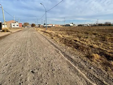 Terreno en Venta en General Roca, USD 23.000