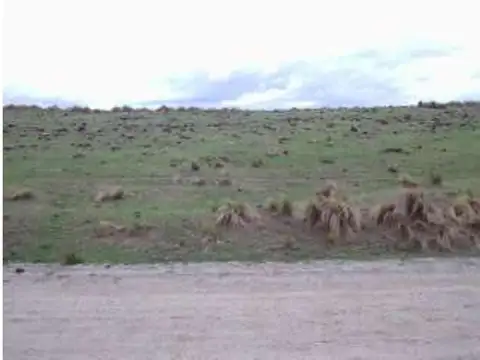 Campo en Venta